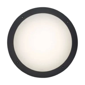 BRILLIANT Applique Ou Plafonnier D’extérieur LED Noir D30cm excellente qualité 16