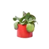 boutique en ligne Junny Cache-pot Xxl En Béton Rouge 5