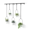 mode Umbra Ensemble De 5 Pots De Fleurs à Suspendre En Mélamine Blanc Et Doré 7