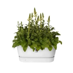 vente en ligne Elho Jardinière Avec Roulettes 78x35x33 Cm En Polypropylène Blanc 18