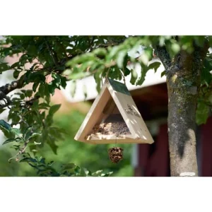 achat Haba Kit D’assemblage Mangeoire Oiseaux 13
