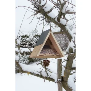 achat Haba Kit D’assemblage Mangeoire Oiseaux 15