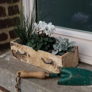 à prix d'occasion Aubry Gaspard Lot De 2 Jardinières En Bouleau Blanchi 6
