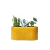 Junny Mini Jardinière En Béton Jaune l'unique style 20