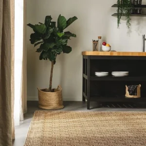 soldes en ligne Benuta Tapis D’extérieur & Intérieur Crème/beige 80×165 14