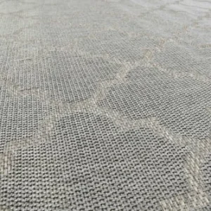 Wecon Home Tapis Extérieur Gris Motif Oriental Beige Pour Entrée, Jardin 170×120 Paris 12